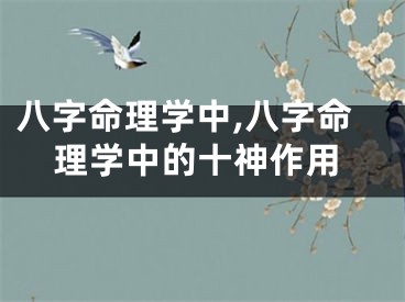 八字命理学中,八字命理学中的十神作用