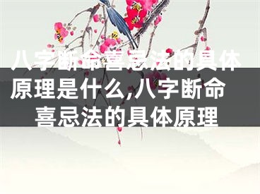 八字断命喜忌法的具体原理是什么,八字断命喜忌法的具体原理