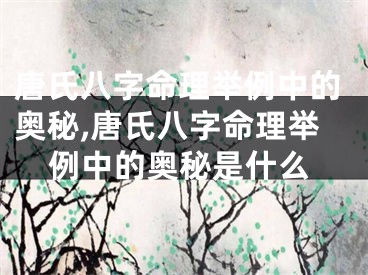 唐氏八字命理举例中的奥秘,唐氏八字命理举例中的奥秘是什么