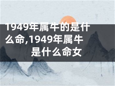 1949年属牛的是什么命,1949年属牛是什么命女