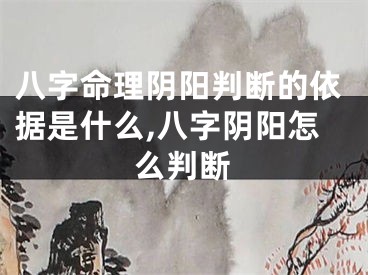 八字命理阴阳判断的依据是什么,八字阴阳怎么判断