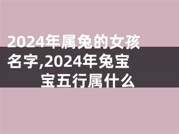 2024年属兔的女孩名字,2024年兔宝宝五行属什么