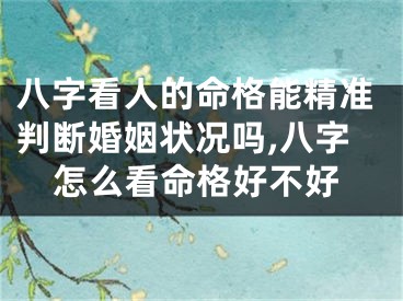 八字看人的命格能精准判断婚姻状况吗,八字怎么看命格好不好