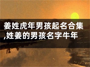 姜姓虎年男孩起名合集,姓姜的男孩名字牛年