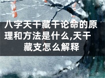八字天干藏干论命的原理和方法是什么,天干藏支怎么解释