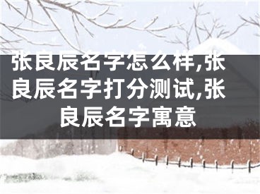 张良辰名字怎么样,张良辰名字打分测试,张良辰名字寓意
