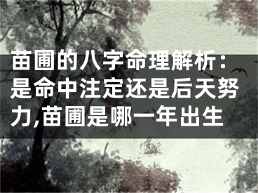 苗圃的八字命理解析：是命中注定还是后天努力,苗圃是哪一年出生