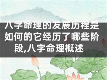 八字命理的发展历程是如何的它经历了哪些阶段,八字命理概述