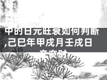 己巳年甲戌月八字命例中的日元旺衰如何判断,己巳年甲戌月壬戌日辛亥时