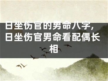 日坐伤官的男命八字,日坐伤官男命看配偶长相