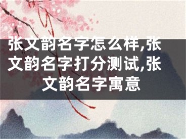 张文韵名字怎么样,张文韵名字打分测试,张文韵名字寓意