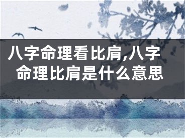 八字命理看比肩,八字命理比肩是什么意思