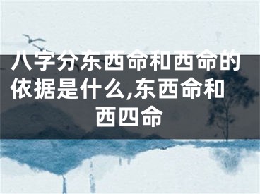 八字分东西命和西命的依据是什么,东西命和西四命