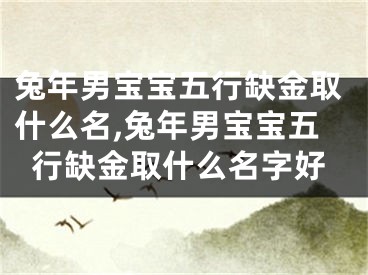 兔年男宝宝五行缺金取什么名,兔年男宝宝五行缺金取什么名字好