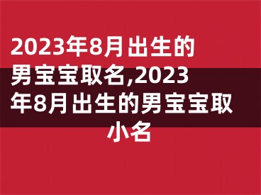 2023年8月出生的男宝宝取名,2023年8月出生的男宝宝取小名