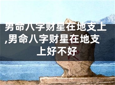 男命八字财星在地支上,男命八字财星在地支上好不好