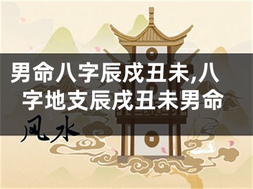 男命八字辰戍丑未,八字地支辰戌丑未男命