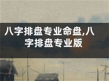 八字排盘专业命盘,八字排盘专业版