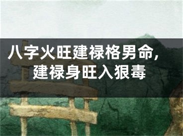 八字火旺建禄格男命,建禄身旺入狠毒