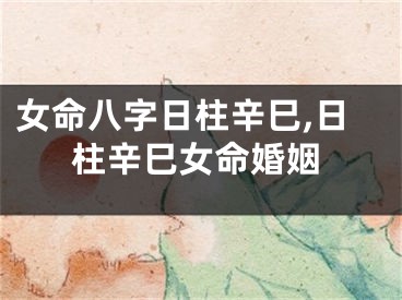 女命八字日柱辛巳,日柱辛巳女命婚姻