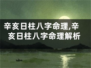 辛亥日柱八字命理,辛亥日柱八字命理解析