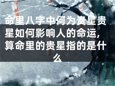 命里八字中何为贵星贵星如何影响人的命运,算命里的贵星指的是什么