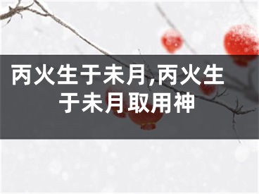 丙火生于未月,丙火生于未月取用神