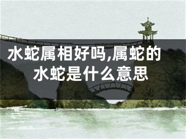 水蛇属相好吗,属蛇的水蛇是什么意思