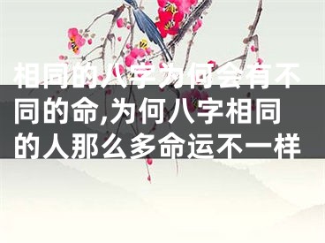 相同的八字为何会有不同的命,为何八字相同的人那么多命运不一样