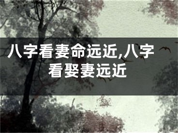 八字看妻命远近,八字看娶妻远近