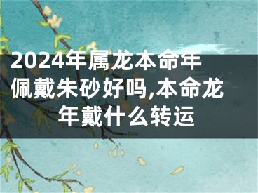 2024年属龙本命年佩戴朱砂好吗,本命龙年戴什么转运