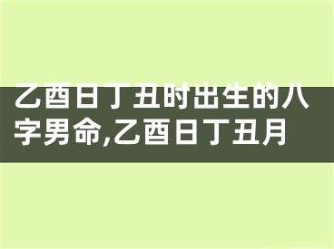 乙酉日丁丑时出生的八字男命,乙酉日丁丑月