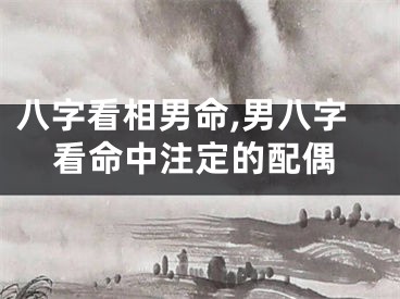 八字看相男命,男八字看命中注定的配偶