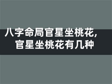 八字命局官星坐桃花,官星坐桃花有几种
