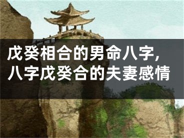 戊癸相合的男命八字,八字戊癸合的夫妻感情