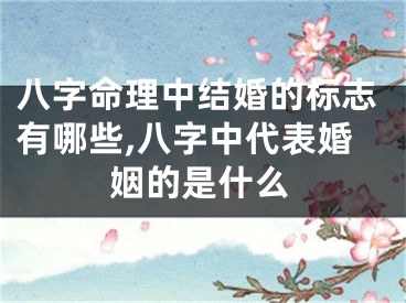 八字命理中结婚的标志有哪些,八字中代表婚姻的是什么