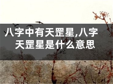 八字中有天罡星,八字天罡星是什么意思