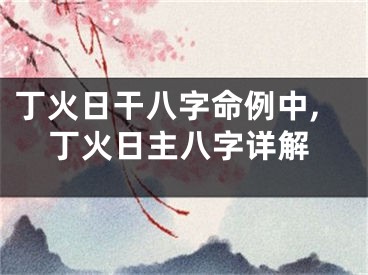 丁火日干八字命例中,丁火日主八字详解