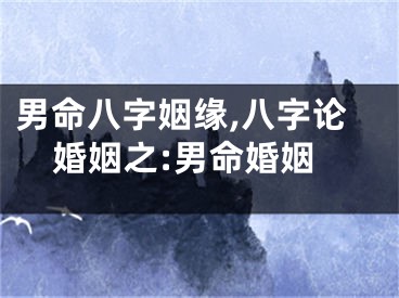 男命八字姻缘,八字论婚姻之:男命婚姻