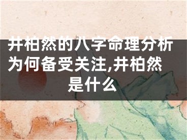 井柏然的八字命理分析为何备受关注,井柏然是什么