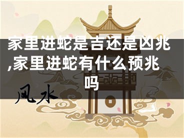 家里进蛇是吉还是凶兆,家里进蛇有什么预兆吗