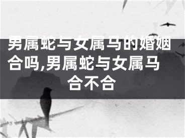 男属蛇与女属马的婚姻合吗,男属蛇与女属马合不合