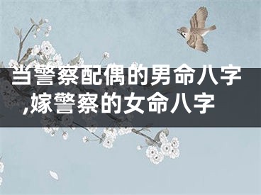 当警察配偶的男命八字,嫁警察的女命八字