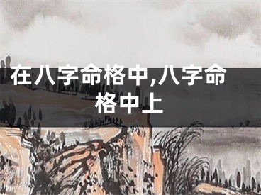 在八字命格中,八字命格中上