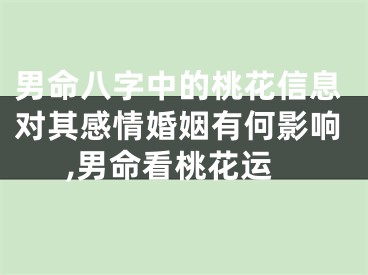 男命八字中的桃花信息对其感情婚姻有何影响,男命看桃花运