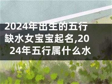 2024年出生的五行缺水女宝宝起名,2024年五行属什么水