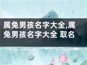 属兔男孩名字大全,属兔男孩名字大全 取名