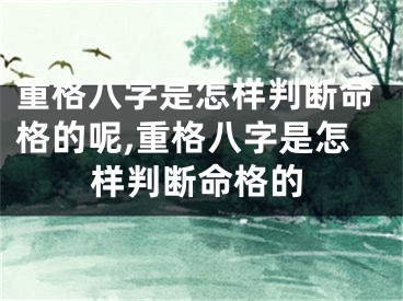 重格八字是怎样判断命格的呢,重格八字是怎样判断命格的