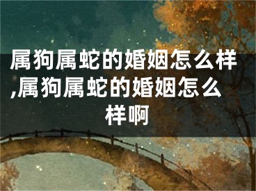 属狗属蛇的婚姻怎么样,属狗属蛇的婚姻怎么样啊