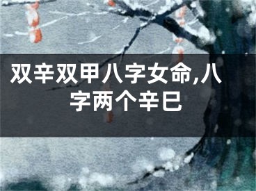 双辛双甲八字女命,八字两个辛巳